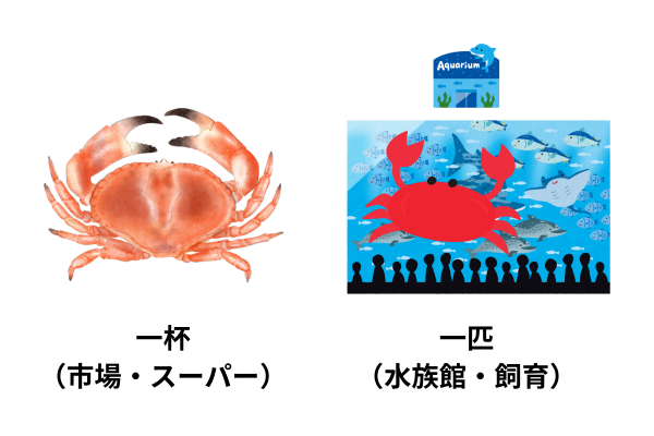 crab