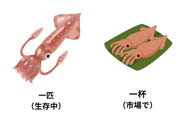 ika