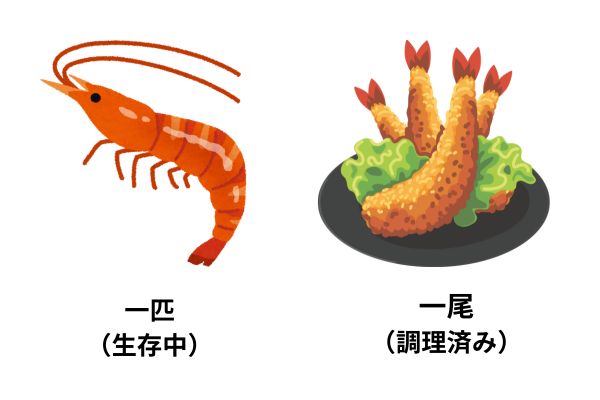 shrimp