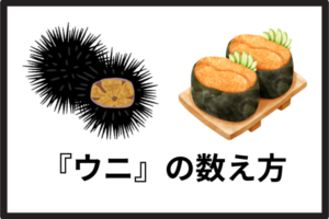 sea-urchin